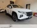 Hyundai TUCSON Tucson 1.6 CRDi Prime Mild-Hybrid 4WD (EURO 6d) 1. Weiß - thumbnail 7