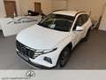 Hyundai TUCSON Tucson 1.6 CRDi Prime Mild-Hybrid 4WD (EURO 6d) 1. Weiß - thumbnail 2