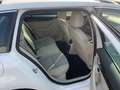 Skoda Octavia Combi 2,0 Elegance TDI 4x4 Green tec Pickerl bi... Weiß - thumbnail 6