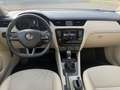 Skoda Octavia Combi 2,0 Elegance TDI 4x4 Green tec Pickerl bi... Weiß - thumbnail 18