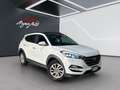 Hyundai TUCSON 1.7 crdi Xpossible 2wd 116cv - thumbnail 2