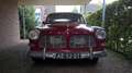 Volvo Amazon P12134 Rot - thumbnail 14