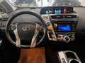 Toyota Prius+ 1.8h Lounge 7 Posti e-cvt Bleu - thumbnail 14