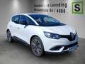 Renault Scenic SCENIC Zen TCe 115 PF Weiß - thumbnail 4
