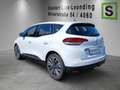 Renault Scenic SCENIC Zen TCe 115 PF Weiß - thumbnail 2