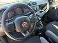 Fiat Panda Panda 1.0 firefly hybrid Sport s Blu/Azzurro - thumbnail 12