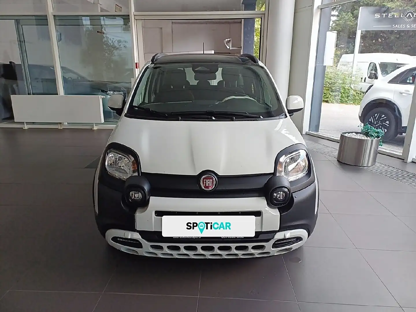 Fiat Pandina FireFly Hybrid 70 Cross Weiß - 2