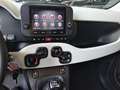 Fiat Pandina FireFly Hybrid 70 Cross Weiß - thumbnail 11