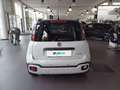 Fiat Pandina FireFly Hybrid 70 Cross Weiß - thumbnail 5