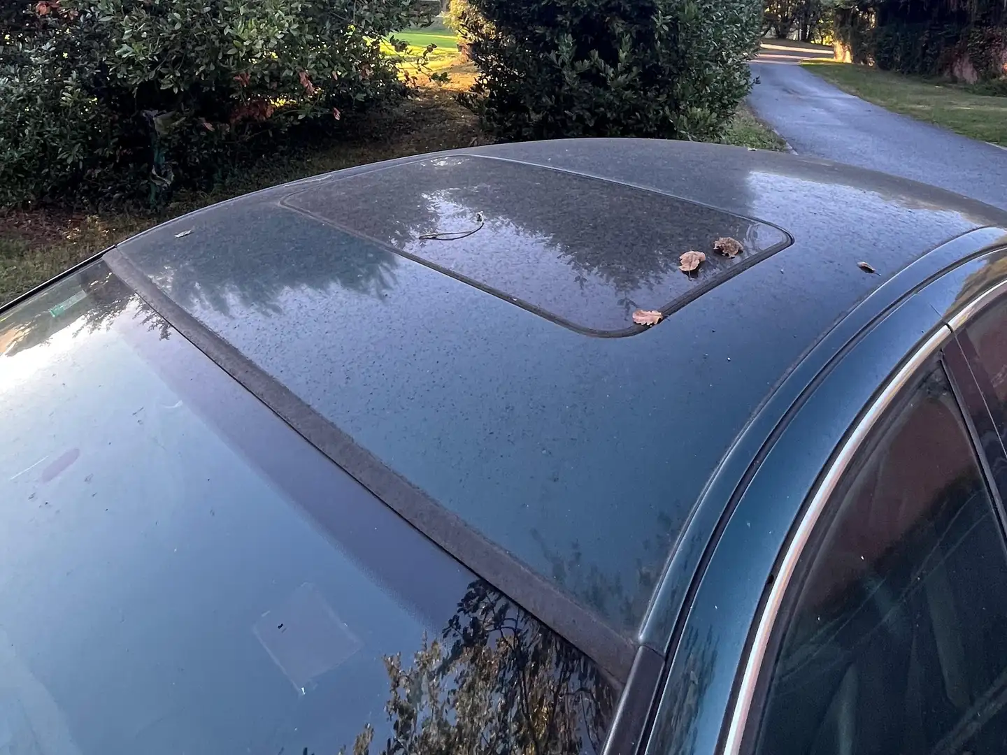 Jaguar S-Type S-Type 4.0 V8 Sport Verde - 2