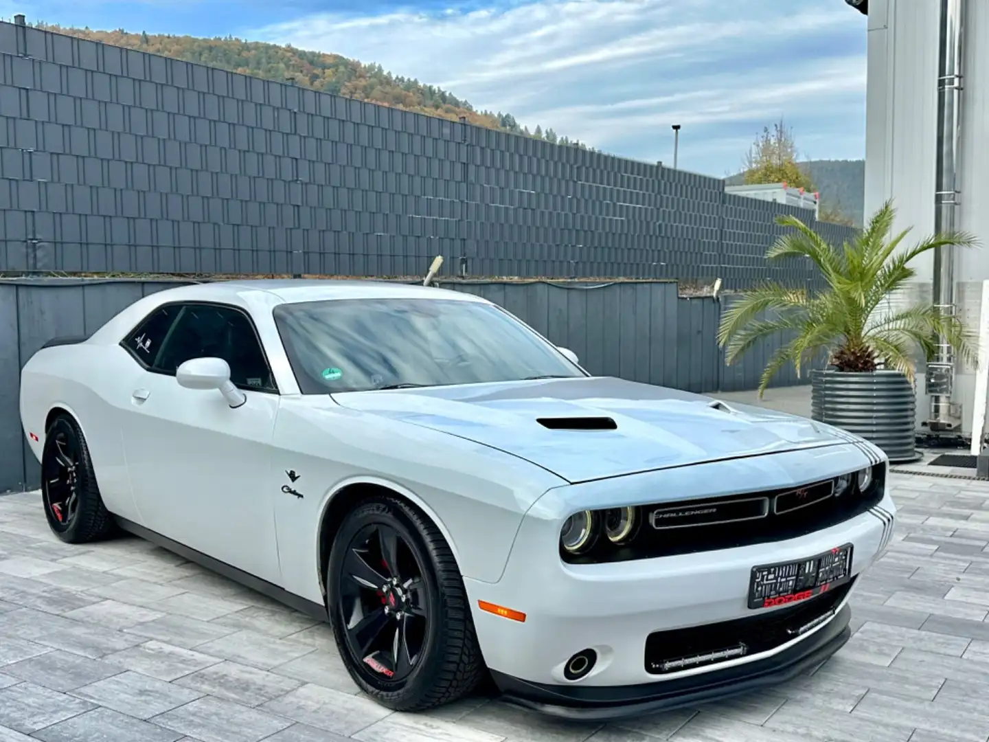 Dodge Challenger 3,6l V6 Automatik-SRT Optik-LED-SHZ Blanc - 2
