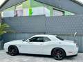 Dodge Challenger 3,6l V6 Automatik-SRT Optik-LED-SHZ Blanc - thumbnail 5