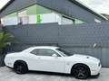 Dodge Challenger 3,6l V6 Automatik-SRT Optik-LED-SHZ Blanc - thumbnail 9
