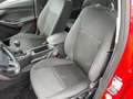 Ford Focus 1.5 EcoBoost, Navi, Einparkhilfe, Klimaanlage Rosso - thumbnail 11