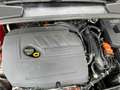 Ford Focus 1.5 EcoBoost, Navi, Einparkhilfe, Klimaanlage Rosso - thumbnail 12
