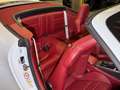 Porsche 911 Turbo Cabriolet~BURMESTER~MATRIX~KAMERA 360 Weiß - thumbnail 20