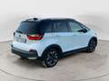 Honda Jazz 4ª serie '20 1.5 Hev Crosstar eCVT Bicolor Execut Weiß - thumbnail 14