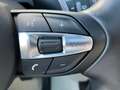 BMW X5 PHEV xDrive40e Österreich-Paket Aut. Gris - thumbnail 10