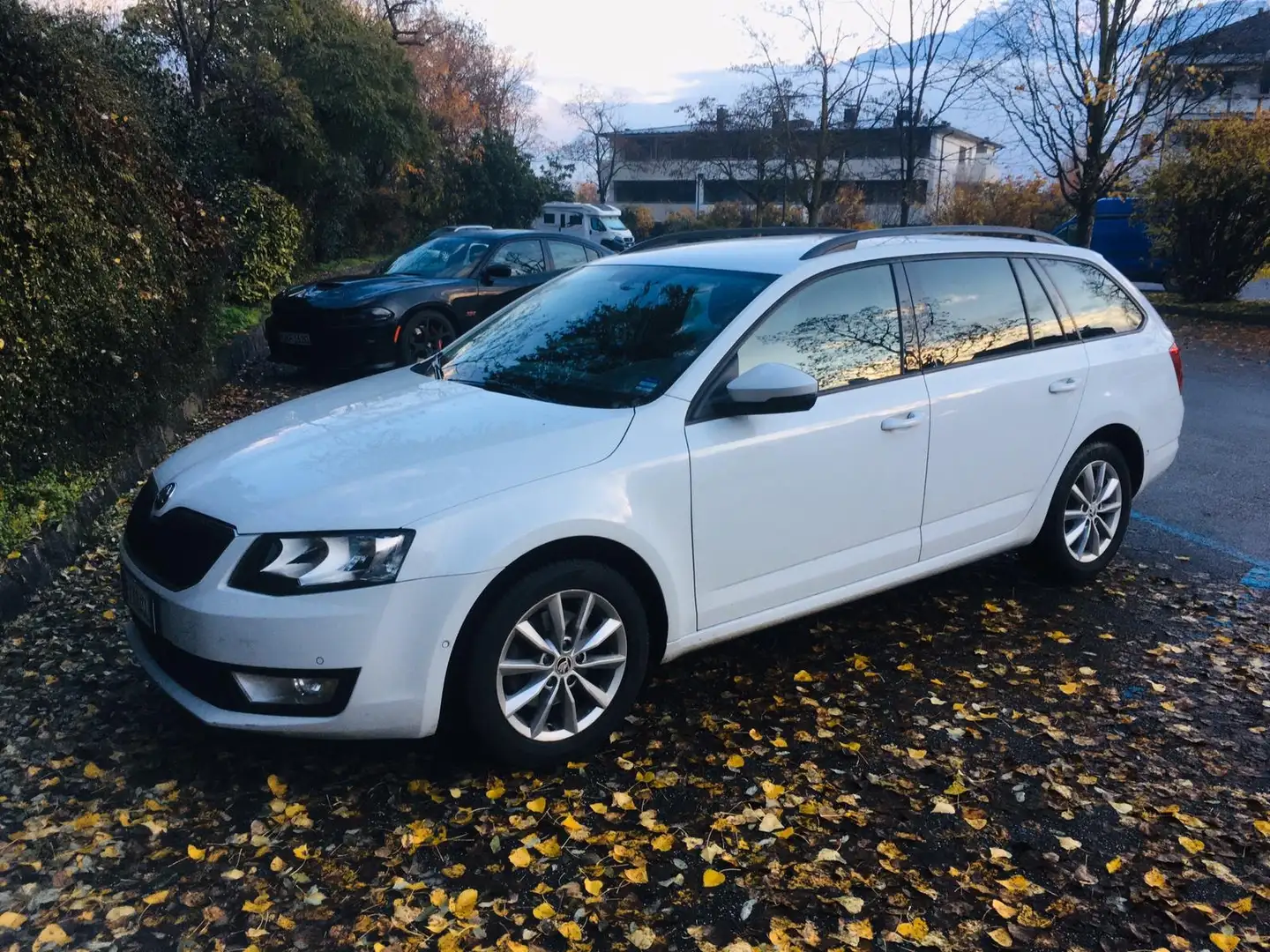 Skoda Octavia Octavia Wagon 1.4 tsi g-tec Ambition 110cv Bianco - 1