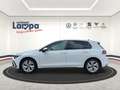 Volkswagen Golf VIII GTE eHybrid 1.4 TSI DSG NAV,SHZ,ACC,Matrix-LE Weiß - thumbnail 2