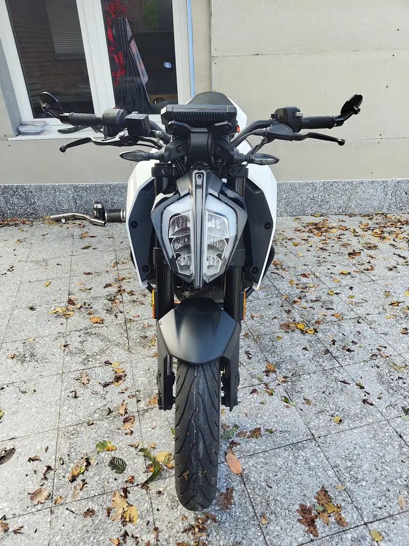 KTM 125 Duke Wit - 2