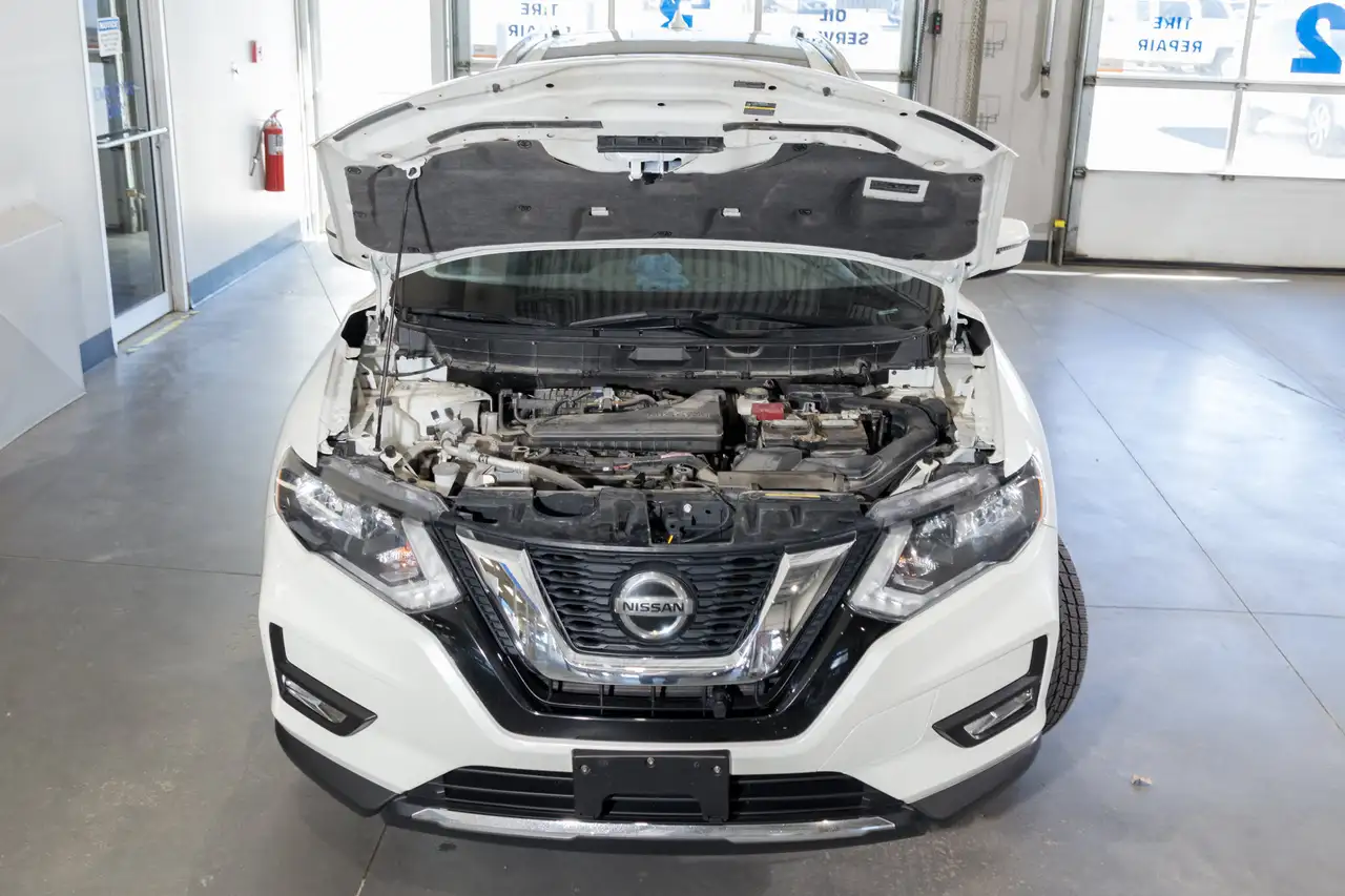 Nissan Rogue fotografie Nissan Rogue