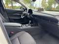 Mazda CX-30 2.0 M Hybrid Homura Blanco - thumbnail 7