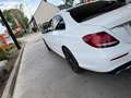 Mercedes-Benz E 220 E 220 d 9G-TRONICAMG Line Weiß - thumbnail 1