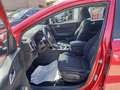 Kia Sportage 1.6 crdi mhev Black Line Plus pack 2wd 136cv dtc Rosso - thumbnail 8