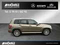 Mercedes-Benz GLK 220 GLK 220 CDI 4MATIC Sport-Paket ILS Kamera COMAND Beige - thumbnail 5