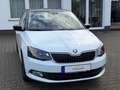 Skoda Fabia Ambition Weiß - thumbnail 3