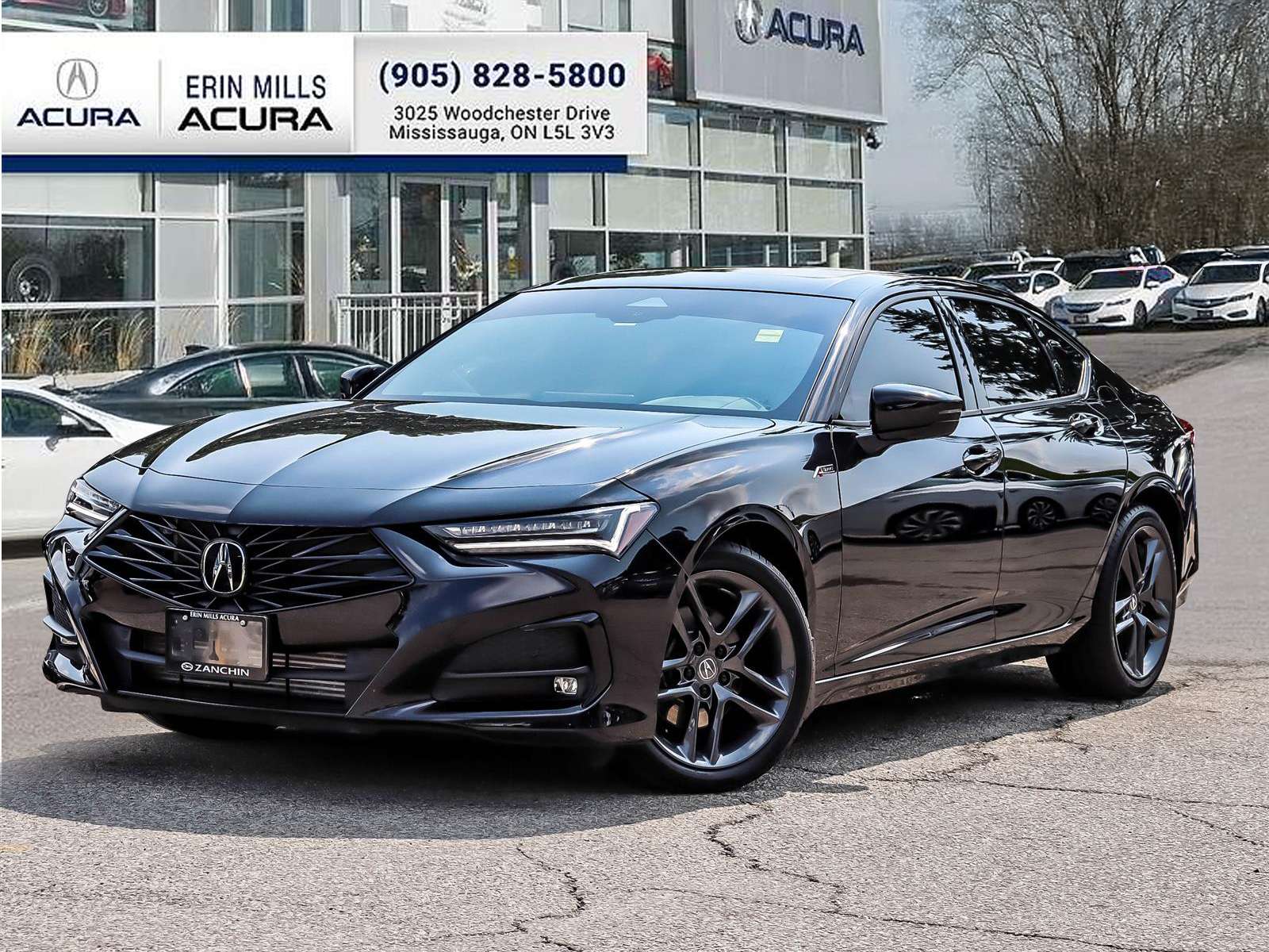 2024 Acura TLX ASPEC | VERY LOW KM | CARPLAY | BSW | STARTER | AL
