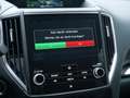 Subaru Forester 2.0ie Comfort KAMERA NAVI ACC LED Grijs - thumbnail 11