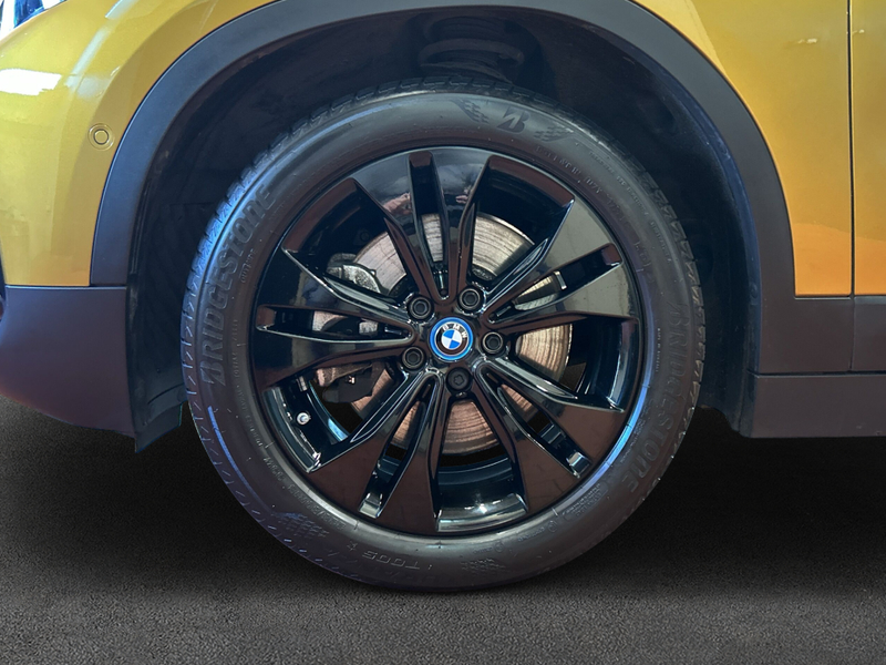 BMW X2 xDrive25e Advantage Plus, RFK, SHZ, LED — photo 8