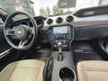 Ford Mustang Shelby GT 5.0 V8 Performance Premium Negru - thumbnail 17