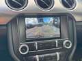 Ford Mustang Shelby GT 5.0 V8 Performance Premium Negru - thumbnail 21