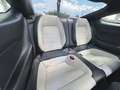 Ford Mustang Shelby GT 5.0 V8 Performance Premium Negru - thumbnail 24