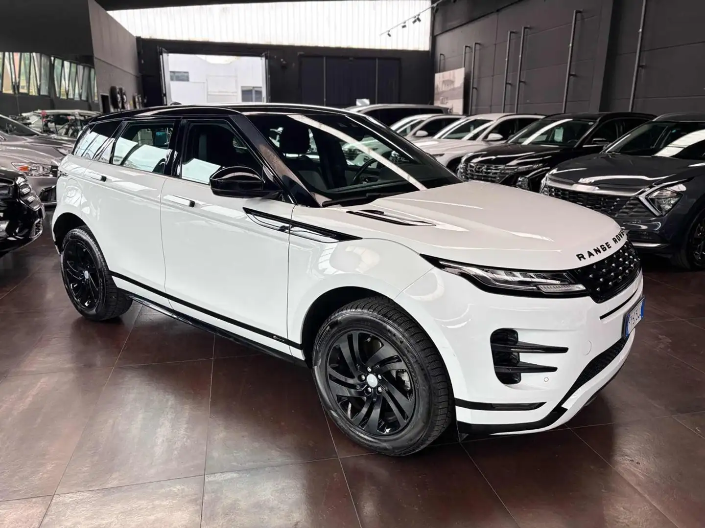 Land Rover Range Rover Evoque 2.0 eD4 5p. SE Dynamic Bianco - 1