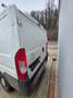 Citroen Jumper 3200 2,8 HDi HD Luxusbus - thumbnail 4