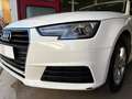 Audi A4 Avant 2.0 tdi 122cv Wit - thumbnail 6