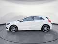 Mercedes-Benz A 180 AMG Line Business Park-Assistent Sitzheizg Weiß - thumbnail 3