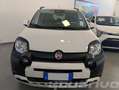 Fiat New Panda 1.0 FireFly S&S Hybrid Pandina KM0 Bianco - thumbnail 2