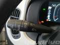 Fiat New Panda 1.0 FireFly S&S Hybrid Pandina KM0 Bianco - thumbnail 13