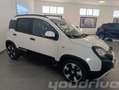 Fiat New Panda 1.0 FireFly S&S Hybrid Pandina KM0 Bianco - thumbnail 3