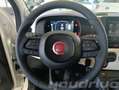Fiat New Panda 1.0 FireFly S&S Hybrid Pandina KM0 Bianco - thumbnail 11