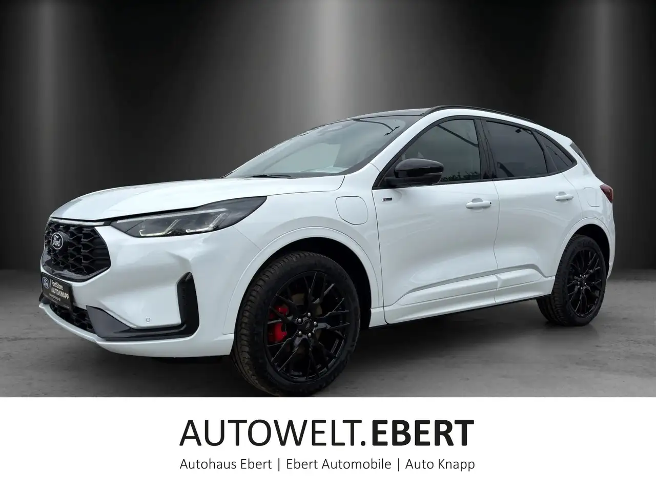 Ford Kuga ST-Line X Black Package LED Matrix AHK ab.