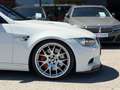 BMW M3 3er- M3 Titanium AGA / Eventuri / KW / GTS Carbon Weiß - thumbnail 14