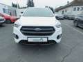Ford Kuga ST-Line Weiß - thumbnail 6
