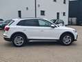 Audi Q5 50 TFSI e quattro advanced Weiß - thumbnail 7