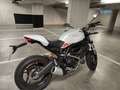 Ducati Monster 797 Blanc - thumbnail 1